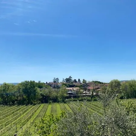 Butussi - L'ospitalità Del Vino Séjour à la campagne Corno di Rosazzo