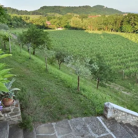 Butussi - L'ospitalita Del Vino