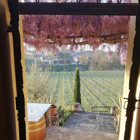 Séjour à la campagne Butussi - L'ospitalità Del Vino