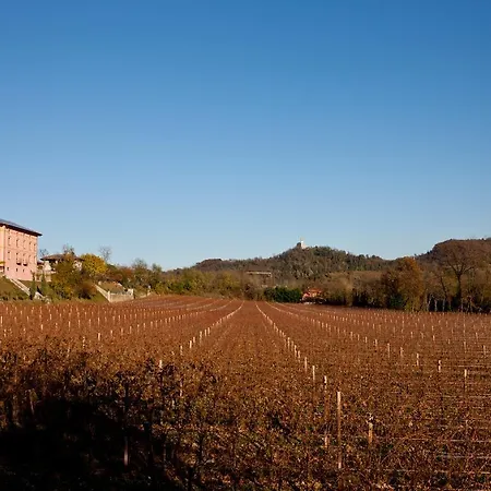 Butussi - L'ospitalita Del Vino Country house