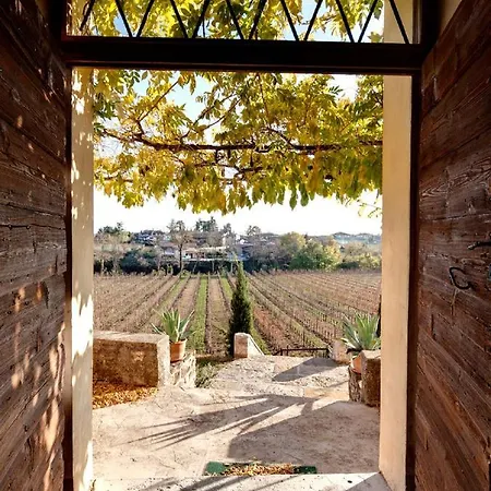 Butussi - L'ospitalità Del Vino Corno di Rosazzo