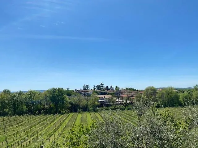 Butussi - L'ospitalita Del Vino Εξοχικό σπίτι Corno di Rosazzo