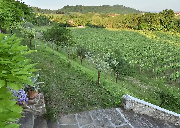 Butussi - L'ospitalita Del Vino