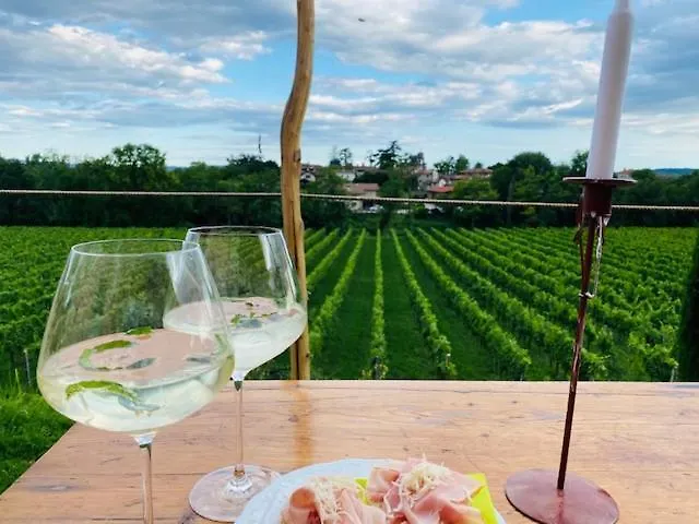 Butussi - L'ospitalita Del Vino *