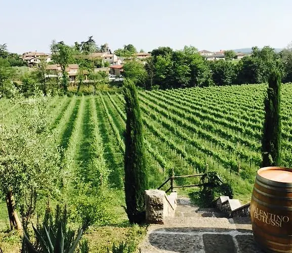 Butussi - L'ospitalita Del Vino Corno di Rosazzo